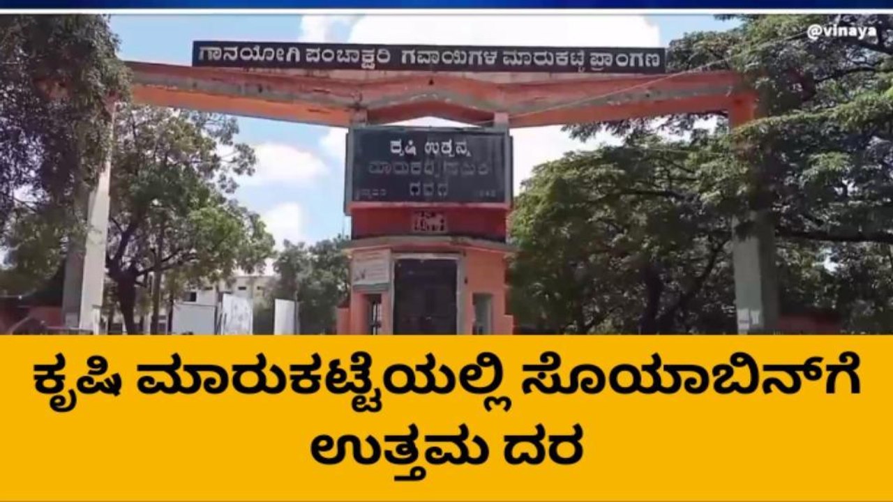 ಗದಗ: ಕೃಷಿ ಮಾರುಕಟ್ಟೆಯಲ್ಲಿ ಸೋಯಾಬಿನ್‌ ದರ ಏರಿಕೆ