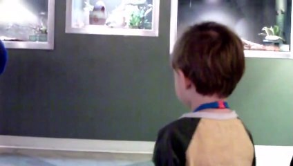 Logan Xavier (2015-01-21) Armadillo