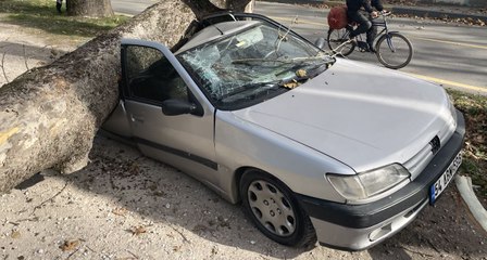 Télécharger la video: Şiddetli lodosta devrilen ağaç otomobillere zarar verdi