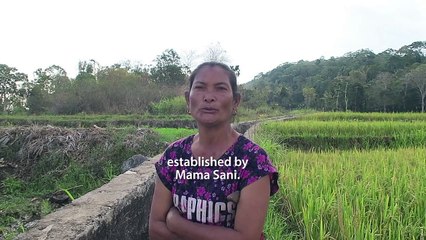 Embed Media Lab | Testimoni Wilhelmina 3 Eng. Ver