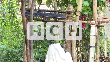 "Pastillero" tomó una fatal decisión luego de soñar con su papá fallecido #MóvilSPS