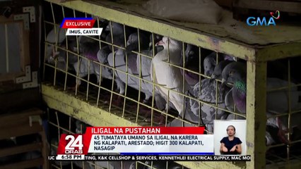 45 tumataya umano sa iligal na karera ng kalapati, arestado; higit 300 kalapati, nasagip | 24 Oras