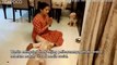Viral, Wanita Mengajari Anak Anjing Berdoa sebelum Makan
