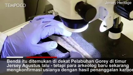 Tombak Zaman Perunggu Langka Ditemukan oleh Pendeteksi Logam di Pantai Jersey
