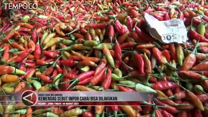 Harga Cabai Rawit Masih Tinggi, Kemendag Sebut Impor Bisa Dilakukan