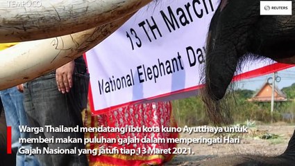 Perayaan Hari Gajah Nasional Thailand