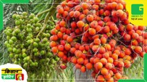 Kisan Bulletin 21 November 2022 | फसलों पर कीटो व रोगों के प्रकोप से मिलेगा छुटकारा, Crop Doctor बताएगा फसलों की समस्या का समाधान | Green TV