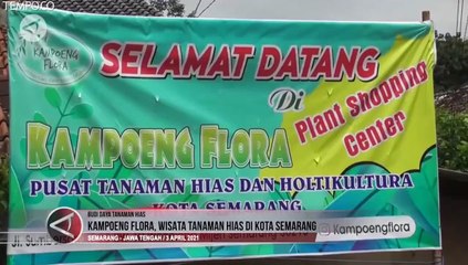 Kampoeng Flora, Pasar Tanaman Hias di Semarang