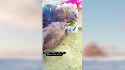 Kabhi judaa mat hona mere sathi ‍❤️‍