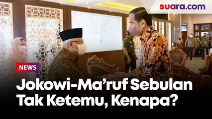 Diisukan Tak Harmonis, Jokowi - Maruf Amin Akhirnya Bertemu Kembali Setelah Sebulan Lebih