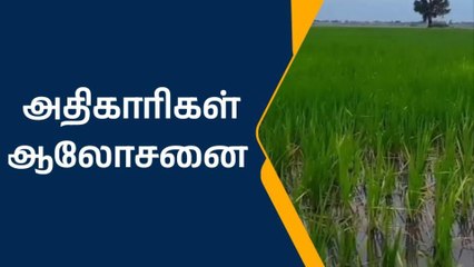 மழைநீரில் மூழ்கிய பயிர்கள் குறித்து அதிகாரிகள் ஆலோசனை