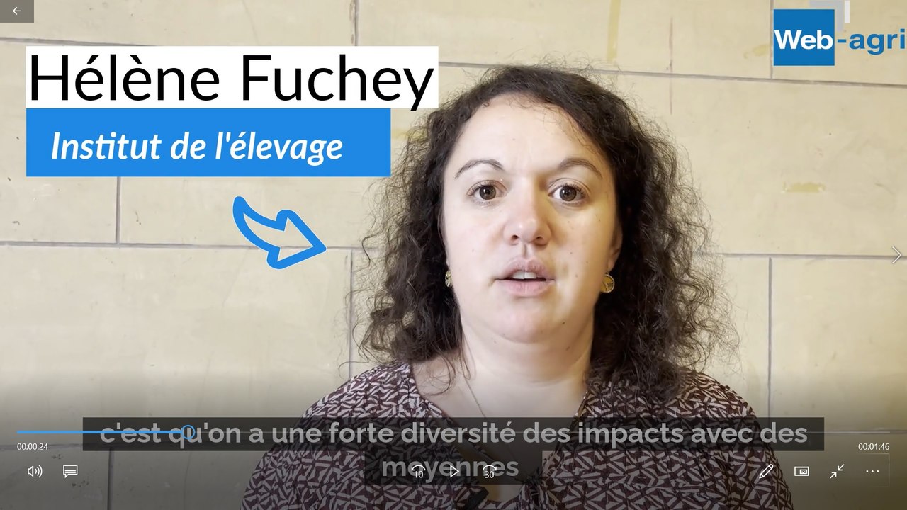 Impact de la réforme de la Pac 2023-2027 sur les aides aux élevages bovins