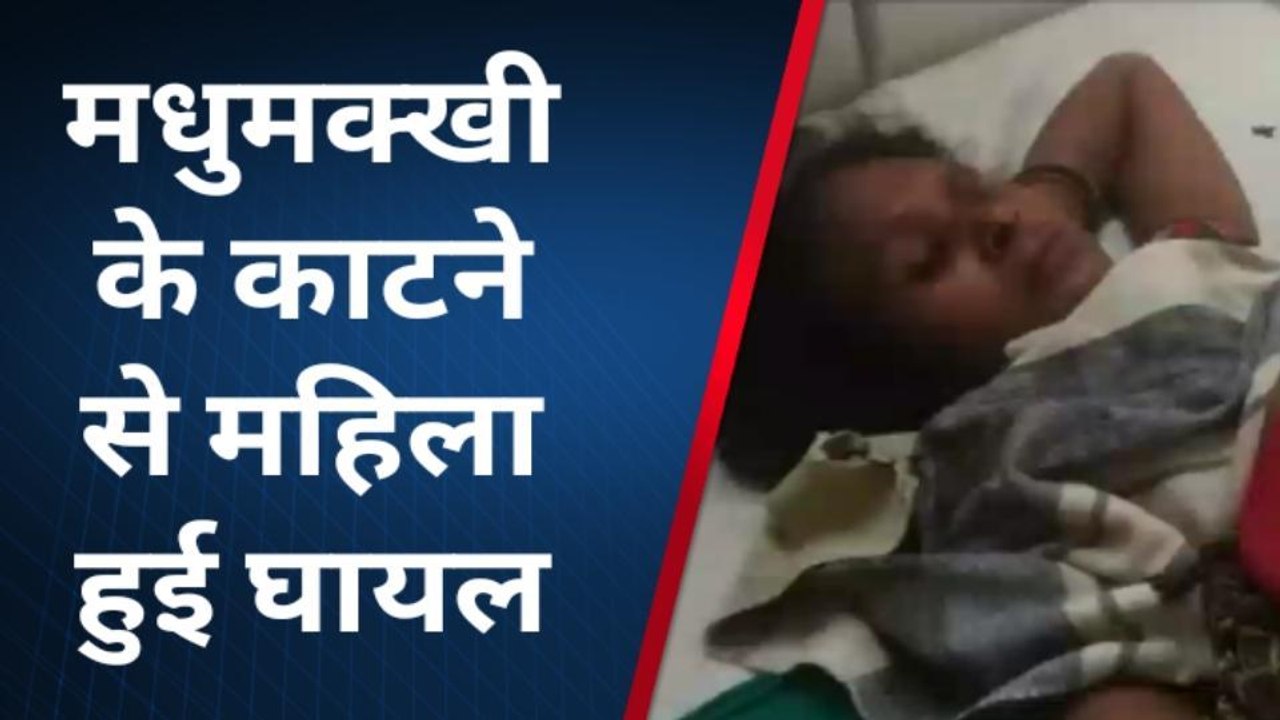 चित्रकूट: यहां हुआ मधुमक्खियों के झुंड का भयावय हमला, महिला आई चपेट में