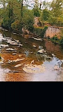 1 - le lavoir de NOYERS-SUR-SEREIN en BOURGOGNE