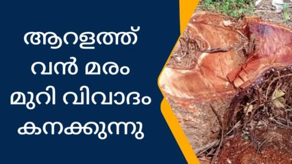 ആറളത്ത് വൻ മരം മുറി വിവാദം കനക്കുന്നു