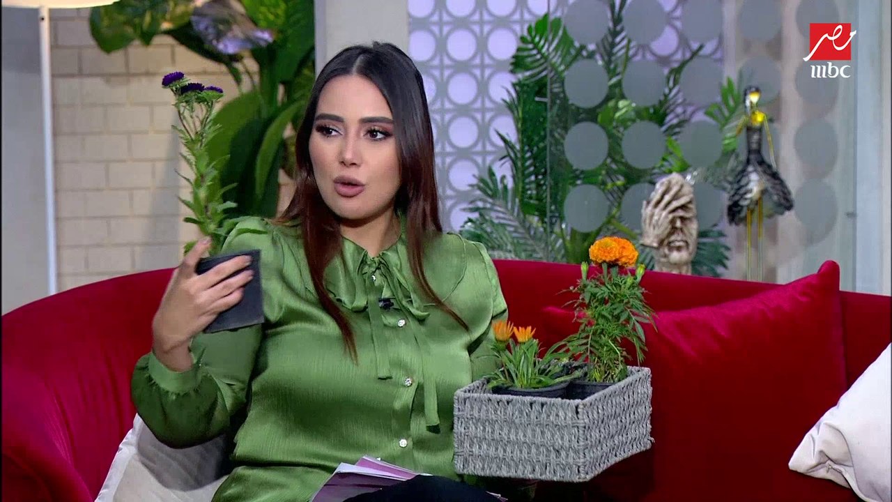 النباتات الشتوية اللي ممكن نزرعها في البيت.. اعرفيها واتمتعي بشكلها وريحتها في بيتك.. أمل أحمد - مهندسة زراعية وخبيرة زراعة منزلية
