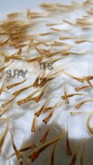 howto lv_0_20221121083727