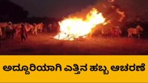 ಚಿತ್ರದುರ್ಗ: ಮೈಲನಹಳ್ಳಿಯಲ್ಲಿ ಎತ್ತಿನ ಹಬ್ಬ ಆಚರಣೆ ಅದ್ದೂರಿ