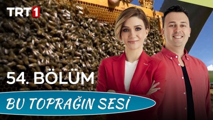 Bu Toprağın Sesi 54. Bölüm - Organik Ceviz Üreticiliği ve Gıda Güvenliği