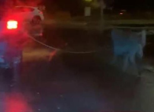 KÖPEĞİ, İPLE BAĞLADIĞI OTOMOBİLLE ÇEKTİ; O ANLAR KAMERADA