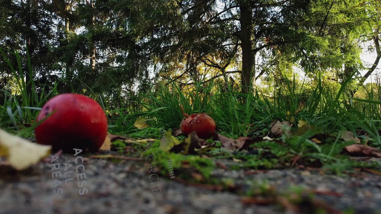 a bluesy journey  ---   piano: christoph oeser;  sax: doris assenheimer