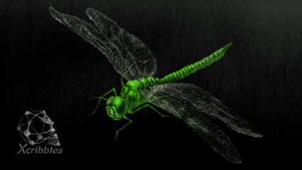 DRAGONFLY | SCRIBBLE ART | COREL PAINTER