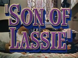 Le Fils de Lassie Bande-annonce (EN)