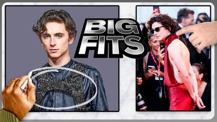 Timothée Chalamet's 5 Biggest Red Carpet Fits Ranked