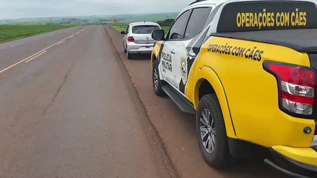 Cigarros contrabandeados são apreendidos e encaminhados à Receita Federal de Cascavel