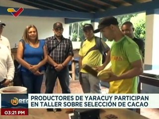 Descargar video: Yaracuy | Productores agrícolas participan en taller sobre selección de cacao