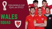 WALES Official Squad FIFA World Cup Qatar 2022 | FIFA World Cup 2022
