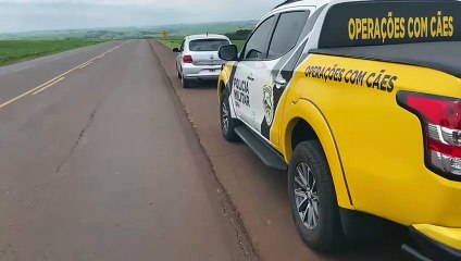 PRE apreende carga de cigarros e prende condutor de veículo na PR-486