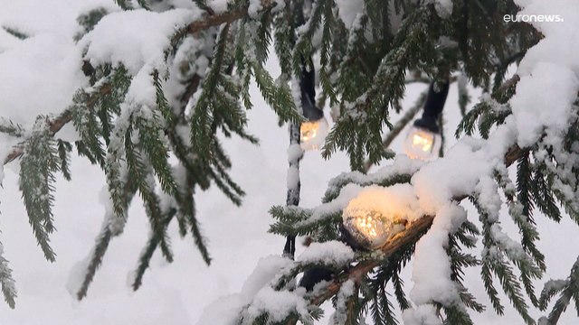 شاهد: عاصفة ثلجية قوية تضرب السويد وتتسبب فى تأخير الرحلات وتعيق حركة المرور