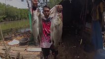 Double Strike!!!! White Snapper Fishing in Muara Tiris Indramayu, West Java