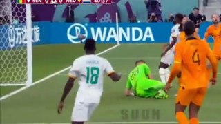 Senegal vs Netherlands 0-2 Highlights