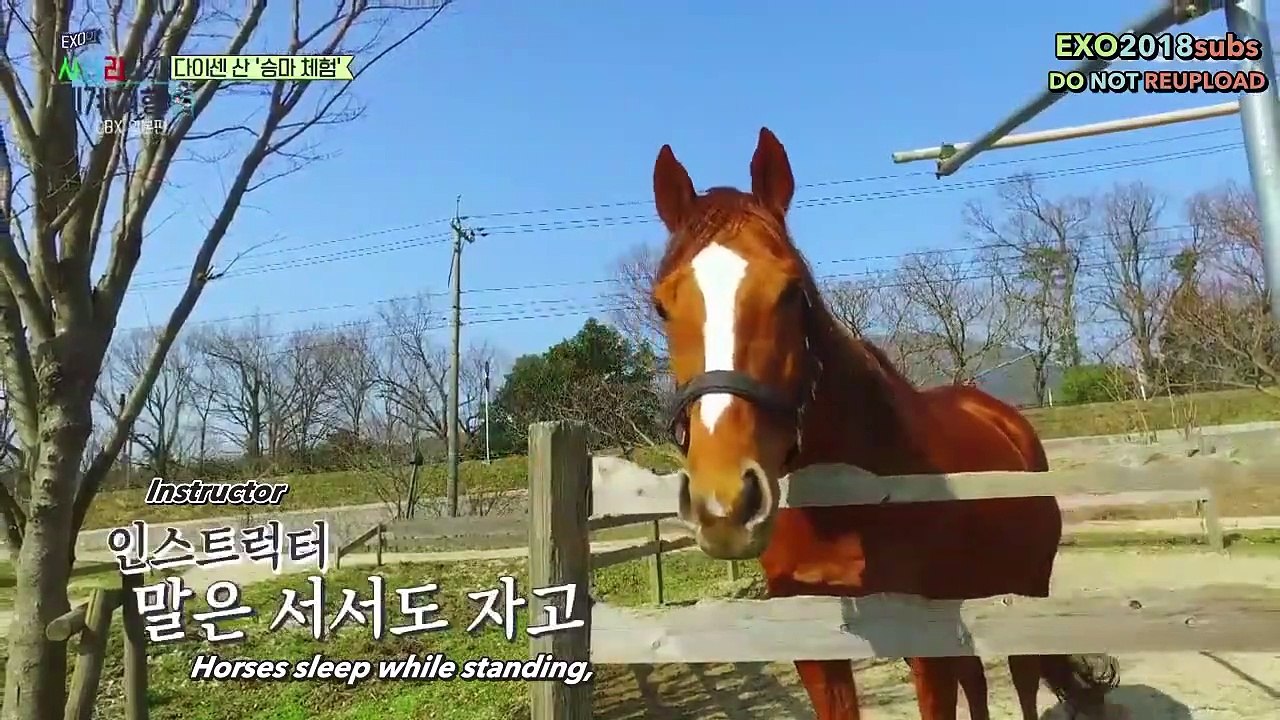 [ENGSUB] EXO's Ladder S1 Episode 28