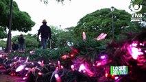 Enatrel instala adornos y luces navideñas en Managua