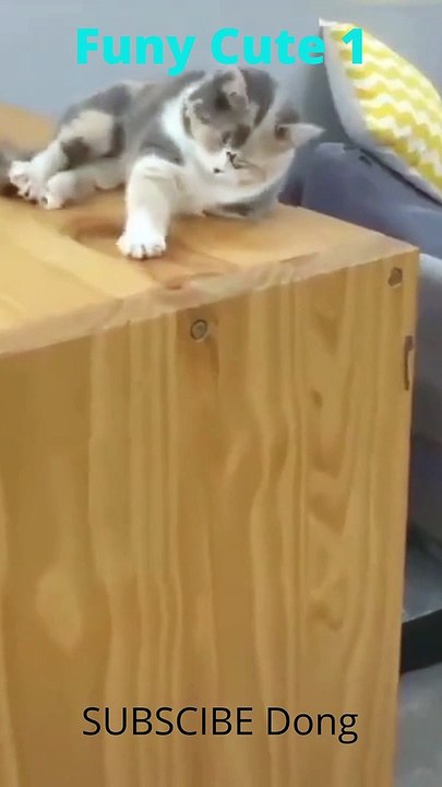 funy cute 1