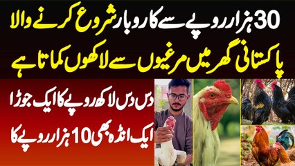 1 Egg 1000 Rupees - 30000 Se Business Shuru Karne Wala Pakistani Ghar Me Murgiyon Se Lakho Kamata Ha