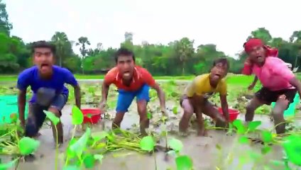 Very very funny video amazing very funny 2022 comedy video