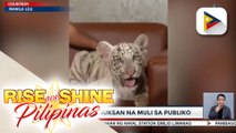 Manila Zoo, binuksan na muli sa publiko; Maayos na maintenance ng sewerage system ng Manila Zoo, tiniyak