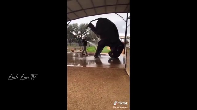Tổng Hợp Những Khoảnh Khắc Hài Hước Của Năm