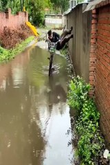 New Funnist Videos 2022  Cutest People Doing Funny Things  #2