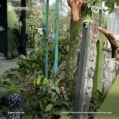 REKAMAN KEPANIKAN DETIK-DETIK SETELAH GEMPA CIANJUR