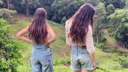 Daily Routines In The Australian Rainforest