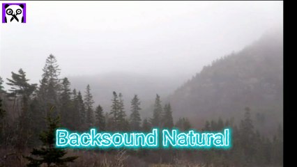 Backsound Natural puisi