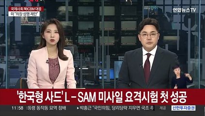 '한국형 사드' L-SAM 미사일 요격시험 첫 성공