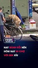 NAY RẢNH RỖI NÊN HÔM NAY ĐI CHỢ VỚI SEN XÍU