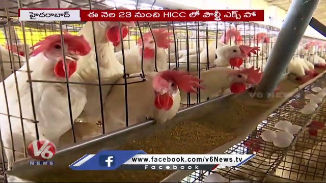 Poultry India Expo To Be Held In Hyderabad From November 23 _ V6 News (1)