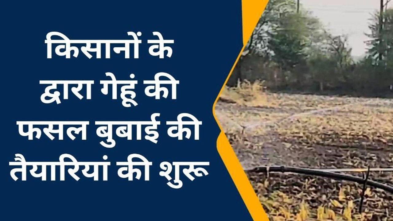 रायसेन: धान कटाई के बाद गेहूं बुबाई की तैयारी,देखे किसान ने क्या कहीं फसलों से जुड़ी बात.